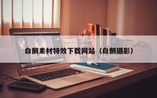 武夷山白鹅素材特效下载网站（白鹅摄影）